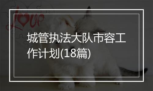 城管执法大队市容工作计划(18篇)