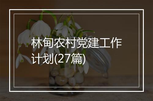 林甸农村党建工作计划(27篇)