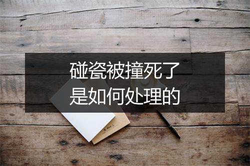 碰瓷被撞死了是如何处理的