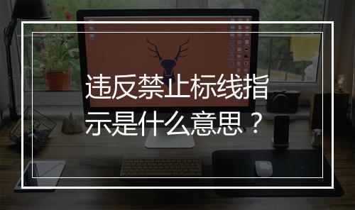 违反禁止标线指示是什么意思？