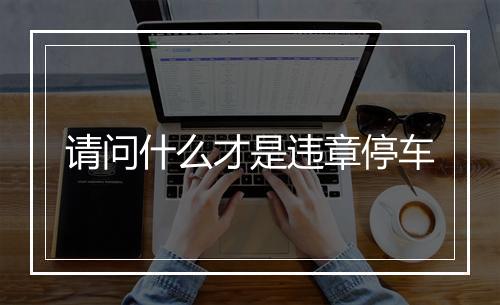 请问什么才是违章停车
