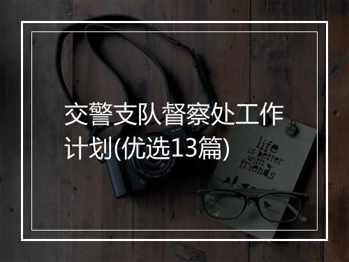 交警支队督察处工作计划(优选13篇)