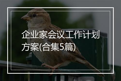 企业家会议工作计划方案(合集5篇)