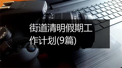 街道清明假期工作计划(9篇)