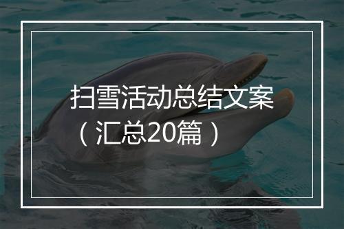 扫雪活动总结文案（汇总20篇）