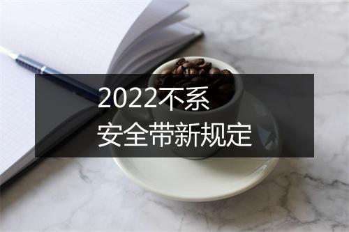 2022不系安全带新规定