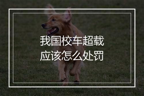 我国校车超载应该怎么处罚