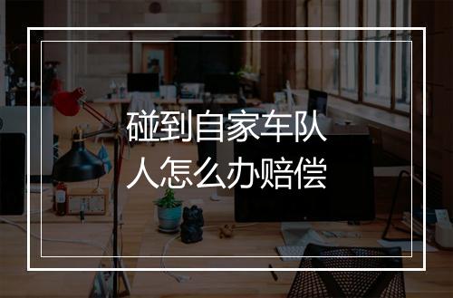 碰到自家车队人怎么办赔偿