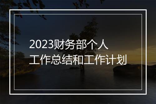 2023财务部个人工作总结和工作计划