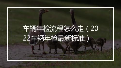 车辆年检流程怎么走（2022车辆年检最新标准）