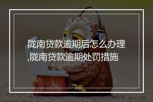陇南贷款逾期后怎么办理,陇南贷款逾期处罚措施