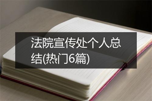 法院宣传处个人总结(热门6篇)