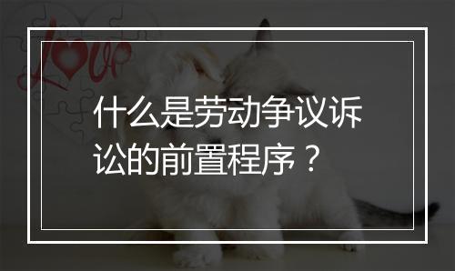 什么是劳动争议诉讼的前置程序？