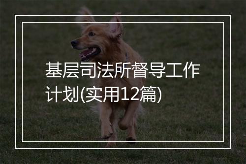 基层司法所督导工作计划(实用12篇)
