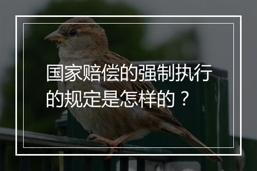 国家赔偿的强制执行的规定是怎样的？
