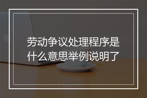 劳动争议处理程序是什么意思举例说明了