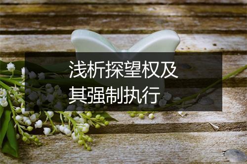 浅析探望权及其强制执行