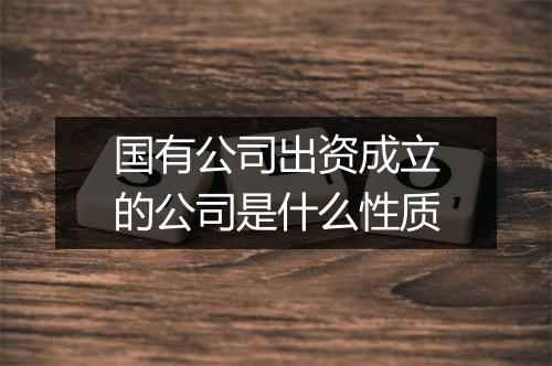 国有公司出资成立的公司是什么性质