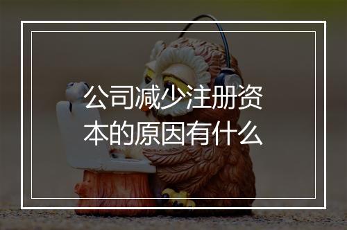 公司减少注册资本的原因有什么