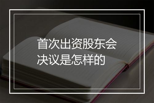 首次出资股东会决议是怎样的