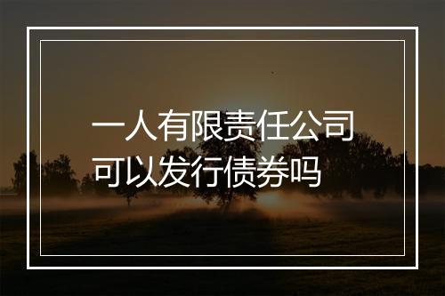 一人有限责任公司可以发行债券吗