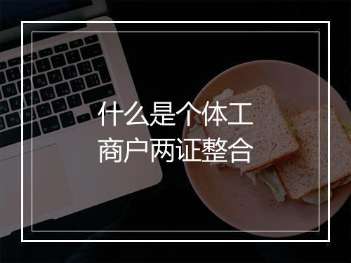 什么是个体工商户两证整合