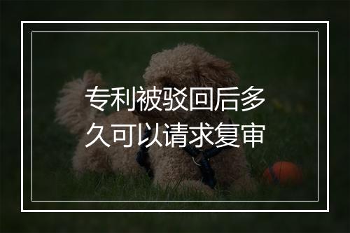 专利被驳回后多久可以请求复审