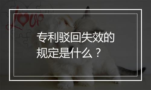 专利驳回失效的规定是什么？