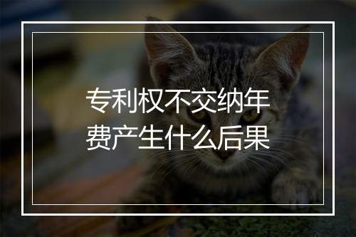 专利权不交纳年费产生什么后果