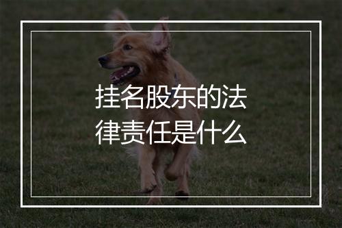 挂名股东的法律责任是什么
