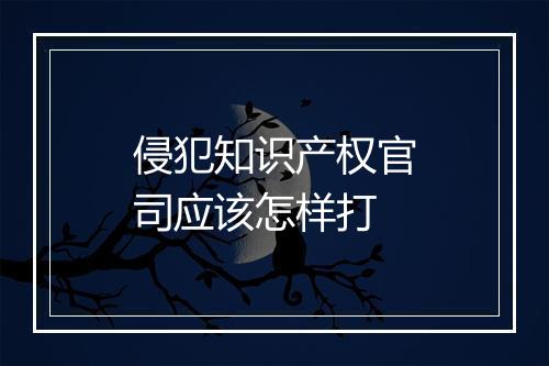 侵犯知识产权官司应该怎样打