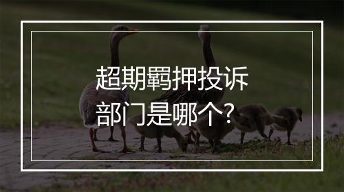 超期羁押投诉部门是哪个?