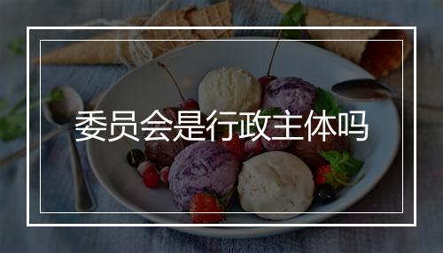 委员会是行政主体吗
