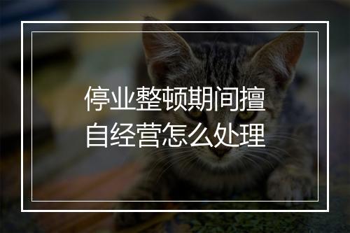 停业整顿期间擅自经营怎么处理