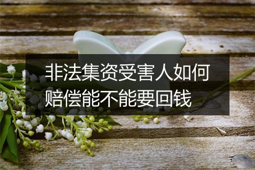 非法集资受害人如何赔偿能不能要回钱