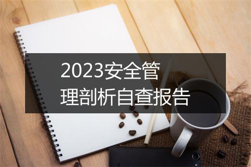 2023安全管理剖析自查报告