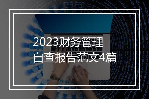 2023财务管理自查报告范文4篇