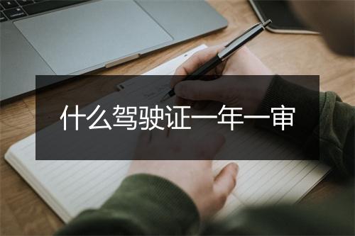 什么驾驶证一年一审