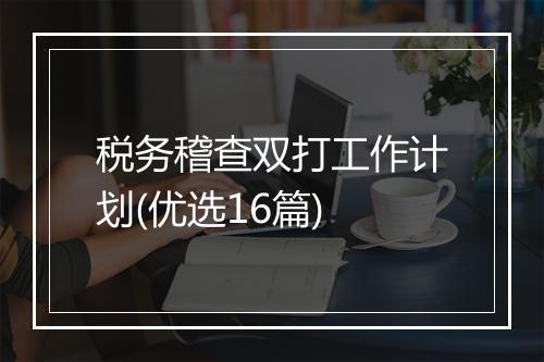 税务稽查双打工作计划(优选16篇)