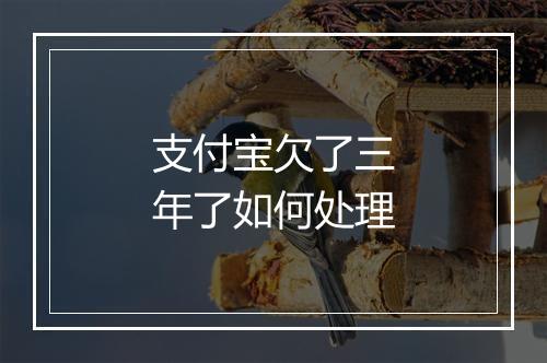 支付宝欠了三年了如何处理