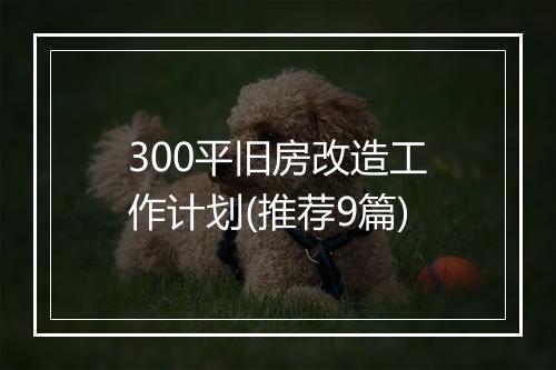 300平旧房改造工作计划(推荐9篇)