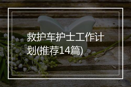 救护车护士工作计划(推荐14篇)
