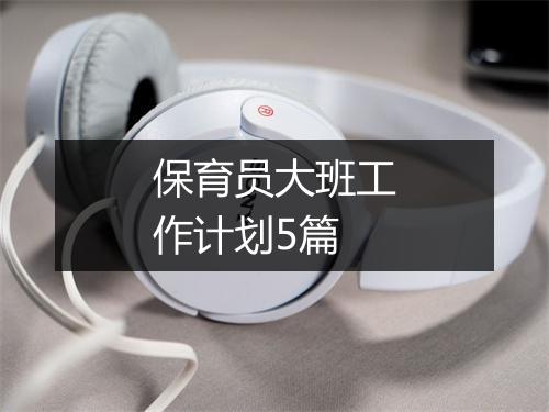保育员大班工作计划5篇