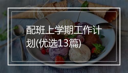 配班上学期工作计划(优选13篇)
