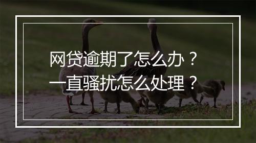 网贷逾期了怎么办？ 一直骚扰怎么处理？