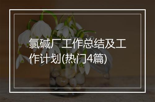 氯碱厂工作总结及工作计划(热门4篇)