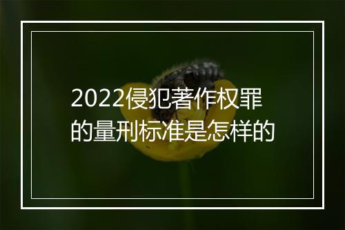 2022侵犯著作权罪的量刑标准是怎样的