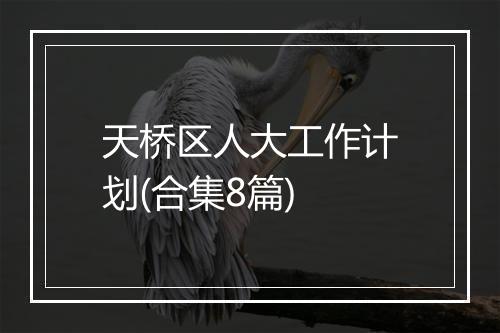 天桥区人大工作计划(合集8篇)