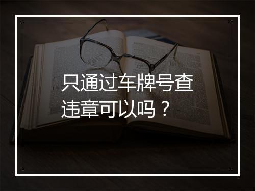 只通过车牌号查违章可以吗？