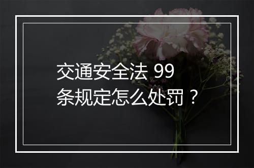 交通安全法 99 条规定怎么处罚？